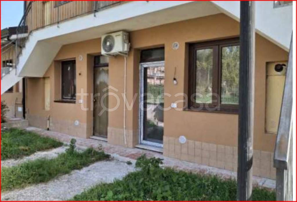 immagine annuncio 6 di 13