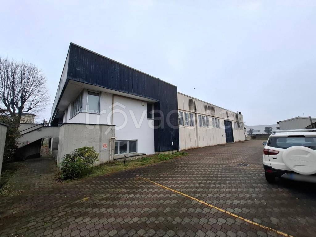 immagine annuncio 3 di 15