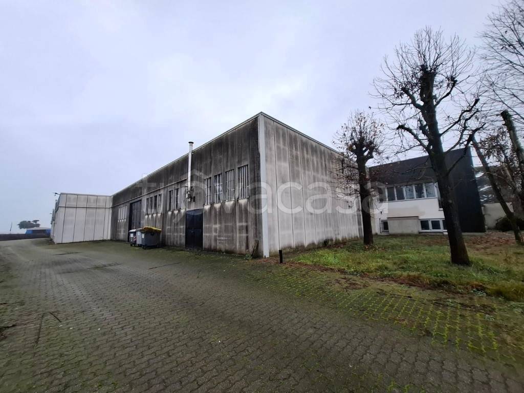 immagine annuncio 5 di 15