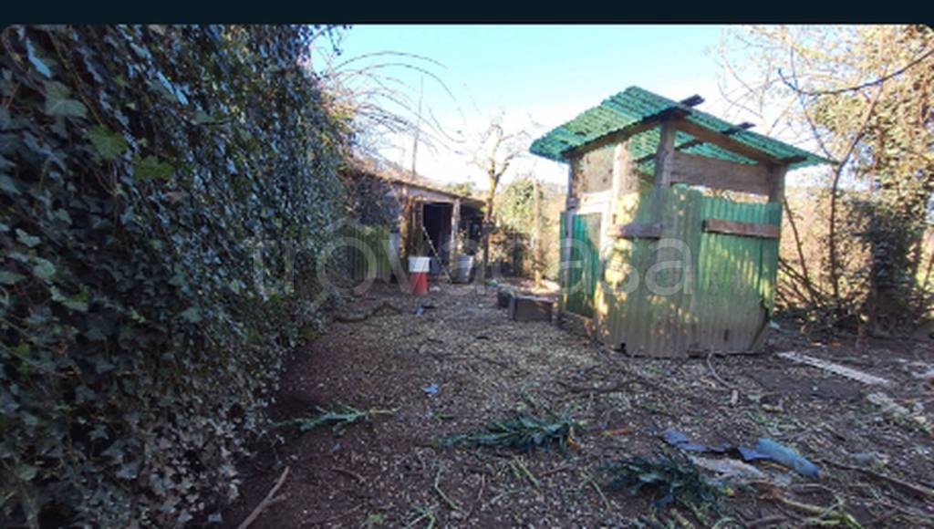 immagine annuncio 2 di 11