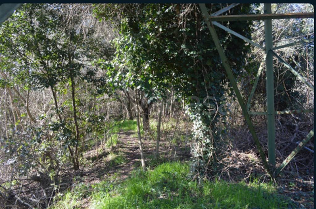 immagine annuncio 6 di 11