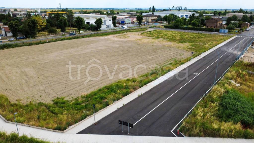 immagine annuncio 2 di 6