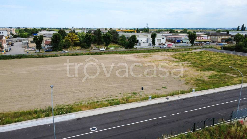 immagine annuncio 4 di 6