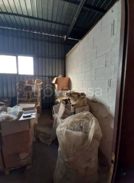 immagine annuncio 7 di 13