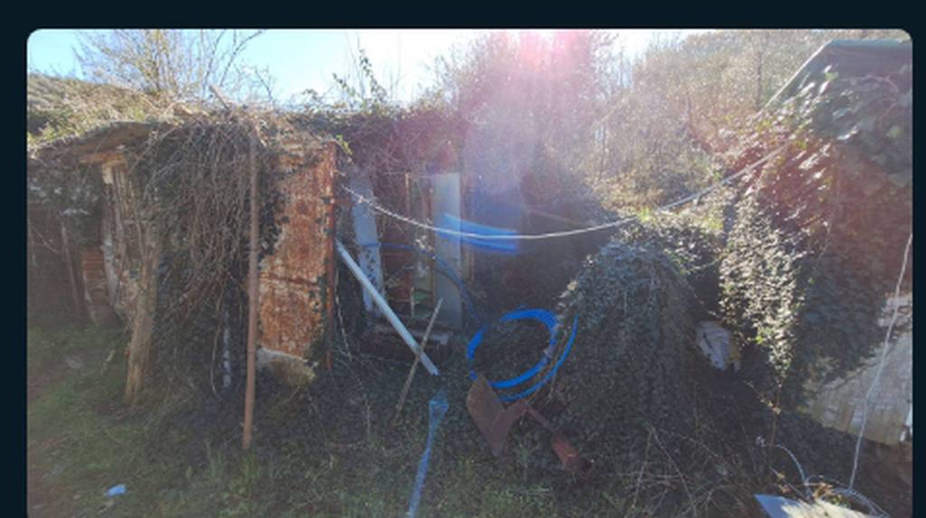 immagine annuncio 10 di 11