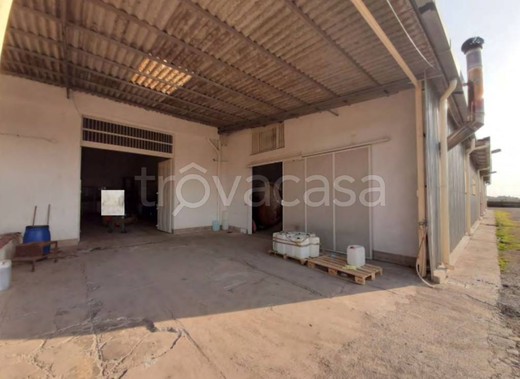 immagine annuncio 12 di 13