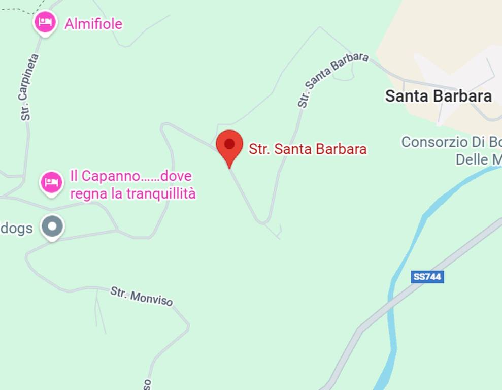 immagine annuncio 6 di 13