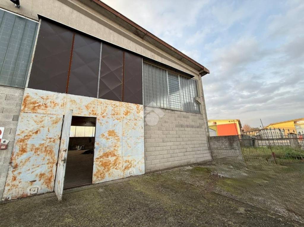 immagine annuncio 2 di 15