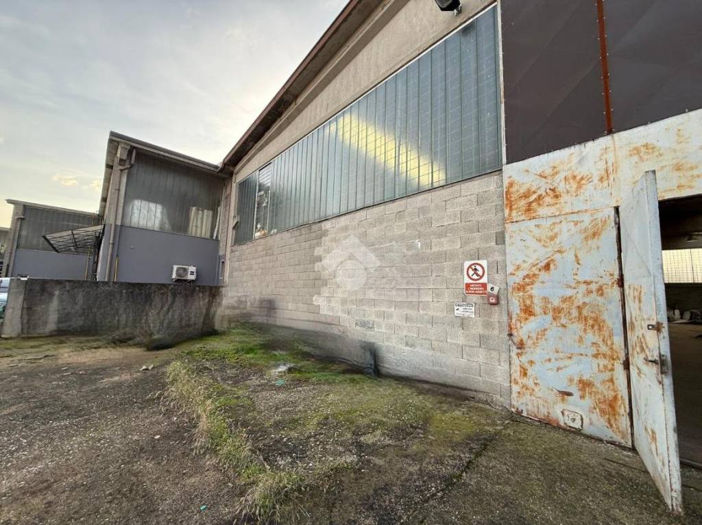 immagine annuncio 4 di 15