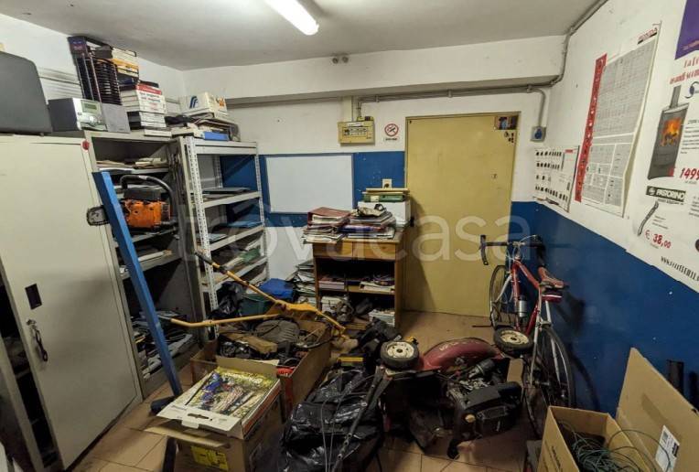 immagine annuncio 12 di 15