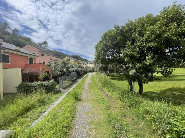 immagine annuncio 4 di 6