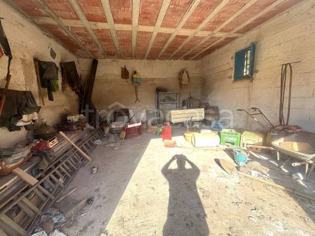 immagine annuncio 5 di 12