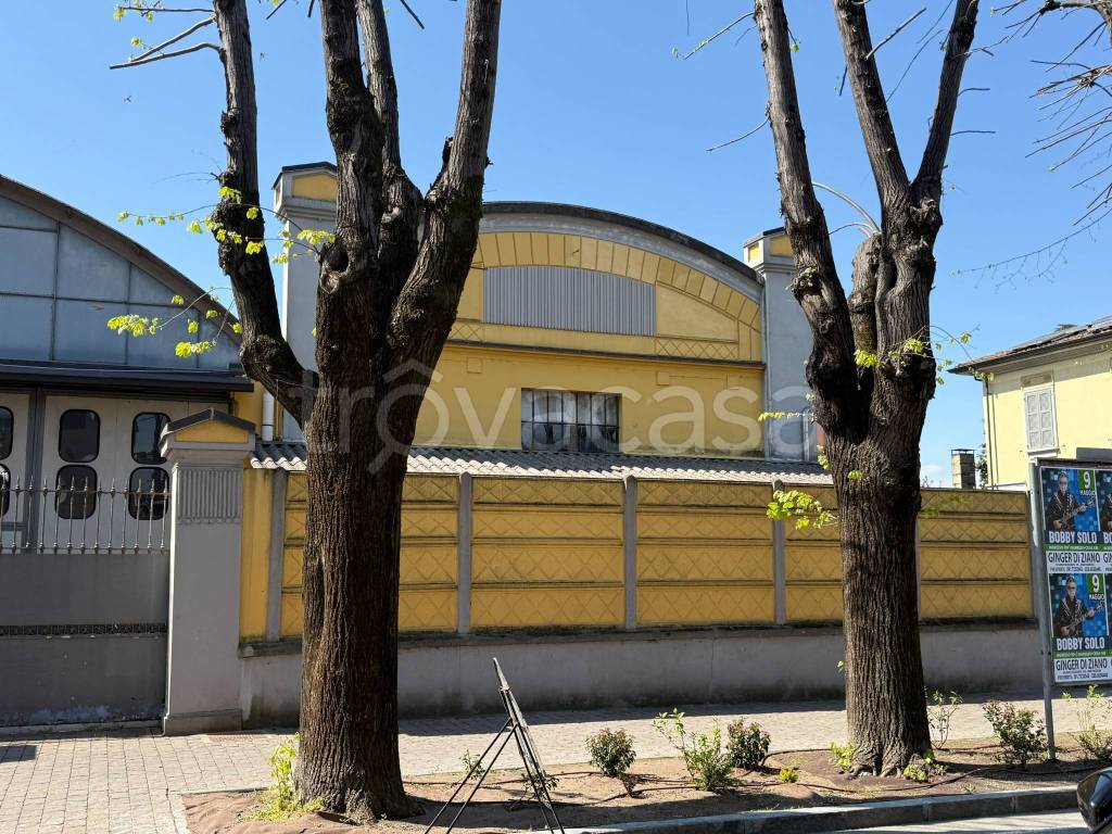 immagine annuncio 2 di 15