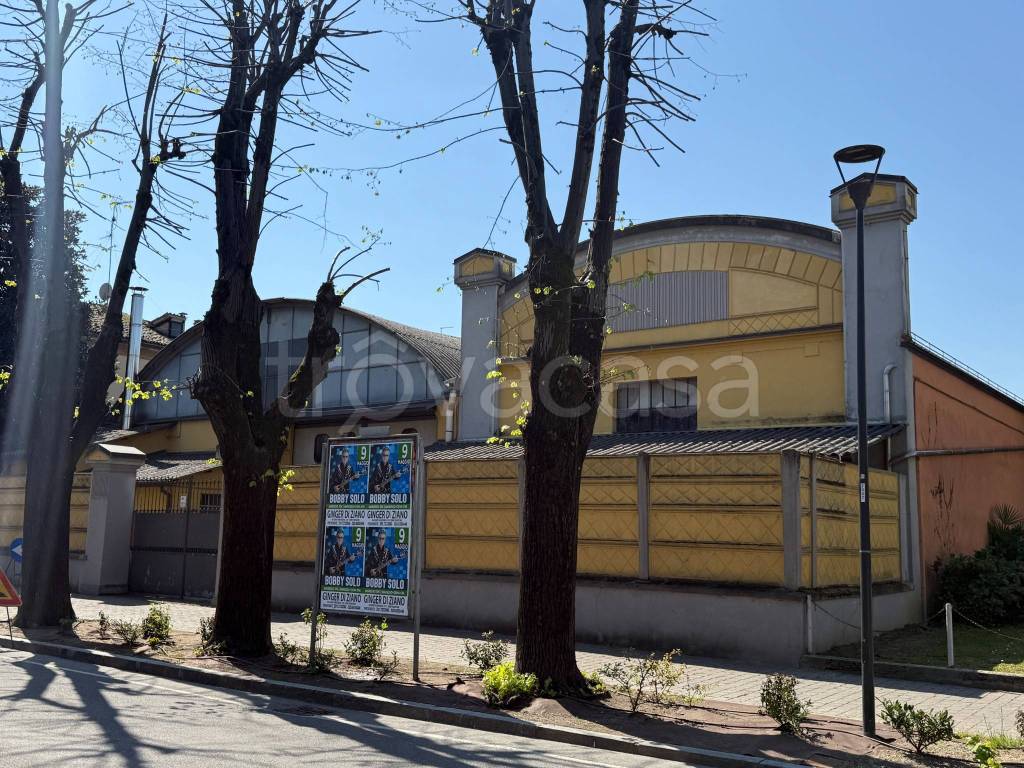 immagine annuncio 3 di 15