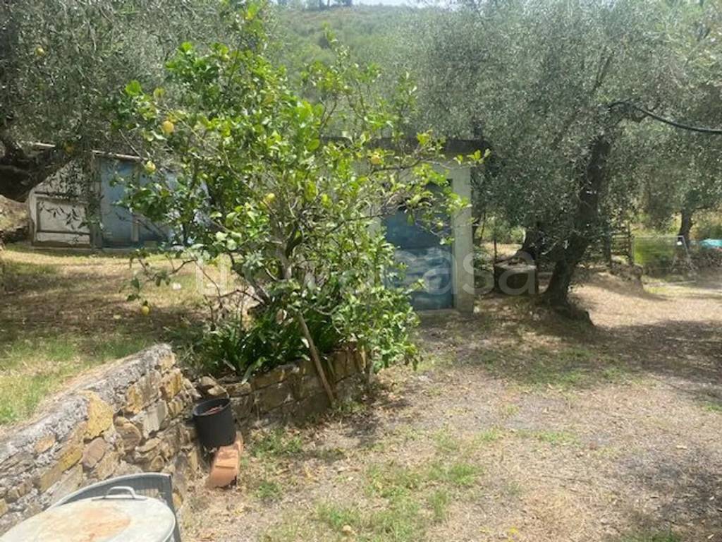 immagine annuncio 4 di 6