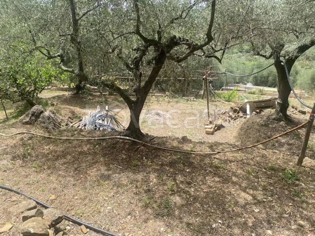 immagine annuncio 5 di 6