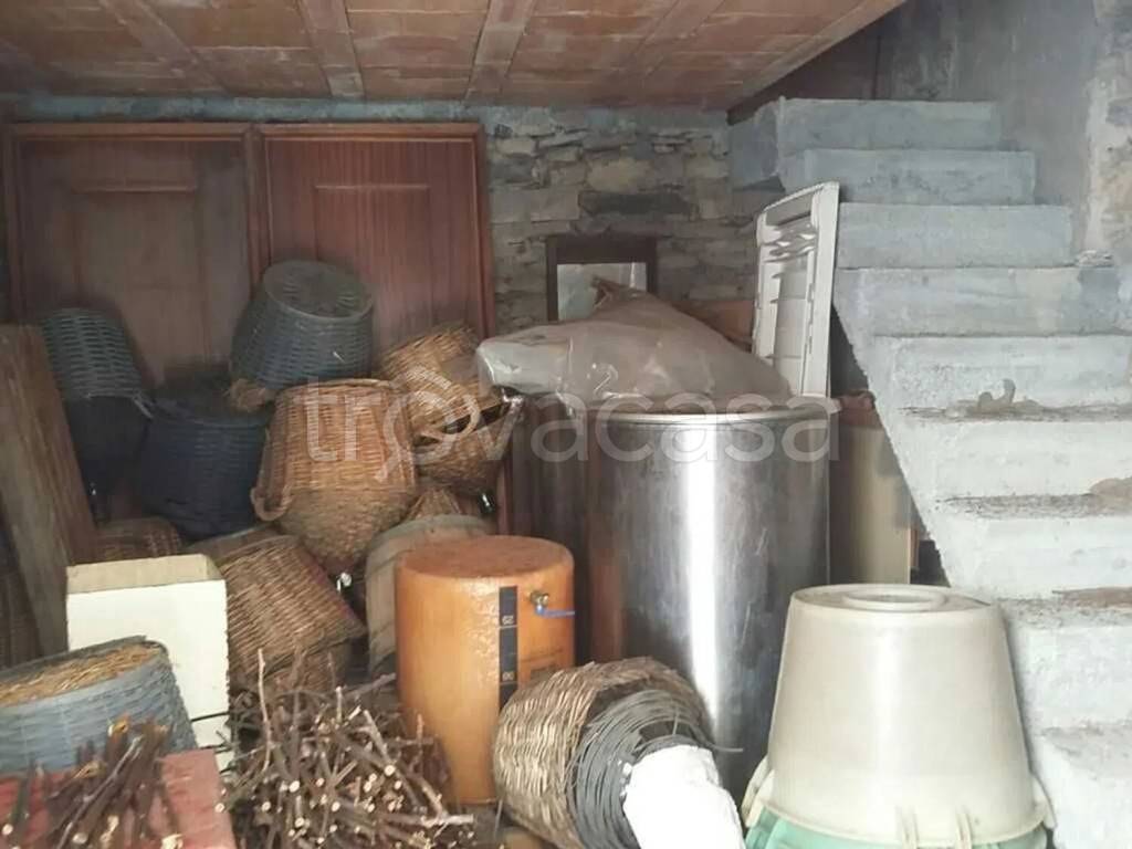 immagine annuncio 7 di 13