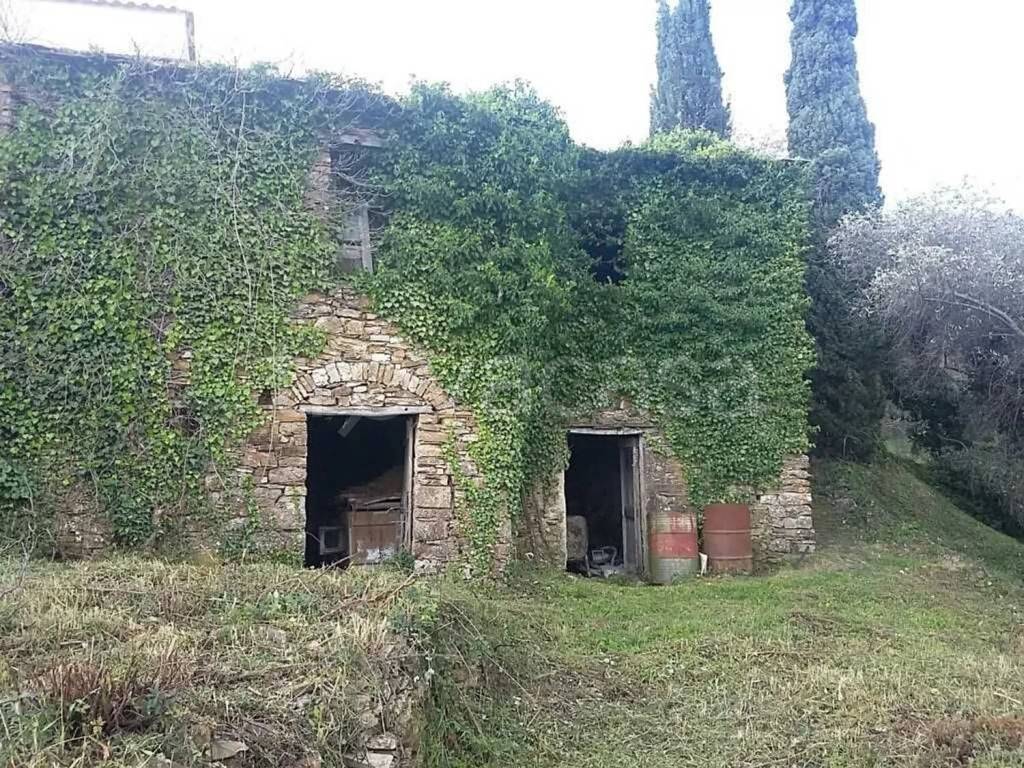 immagine annuncio 4 di 11