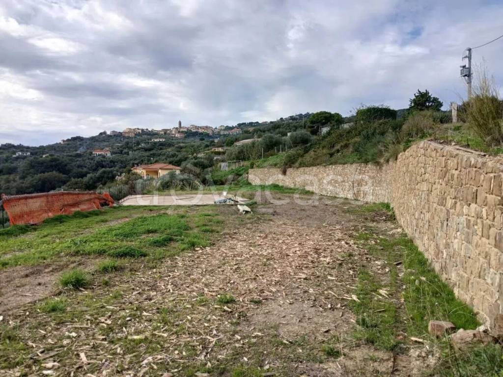 immagine annuncio 12 di 14