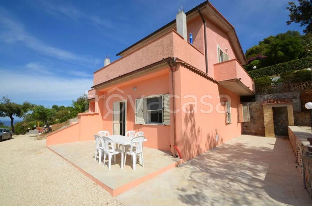 immagine annuncio 9 di 11