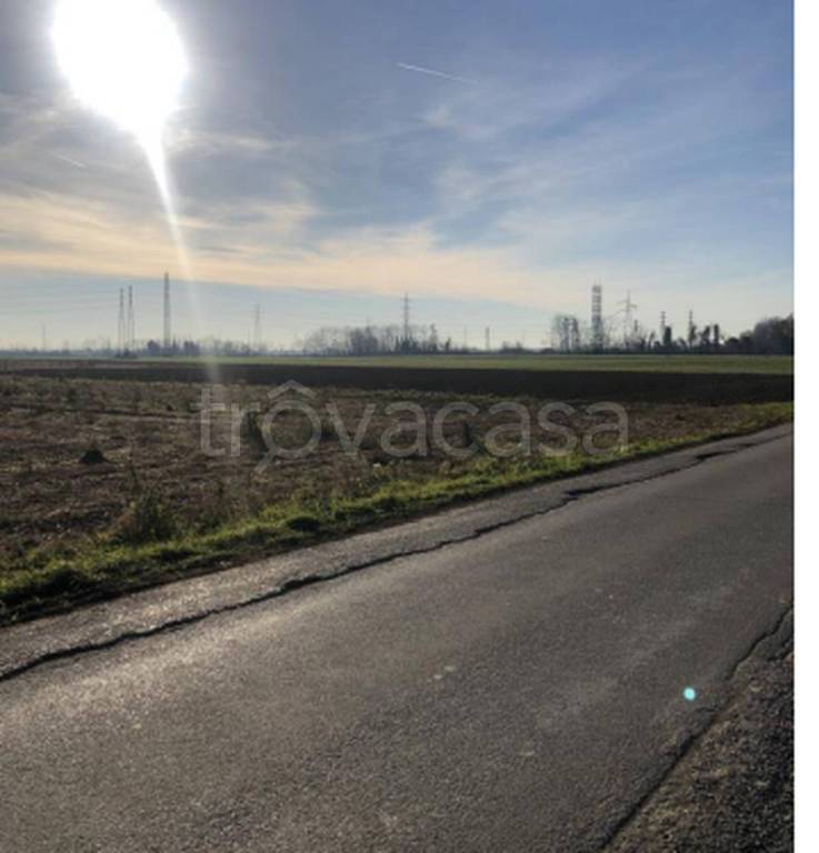 immagine annuncio 2 di 11