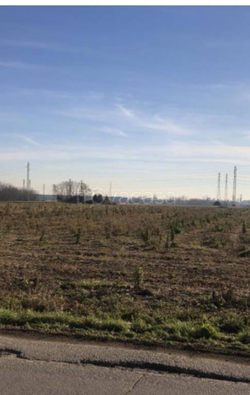 immagine annuncio 3 di 11