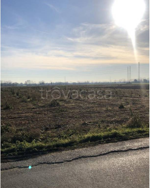 immagine annuncio 4 di 11