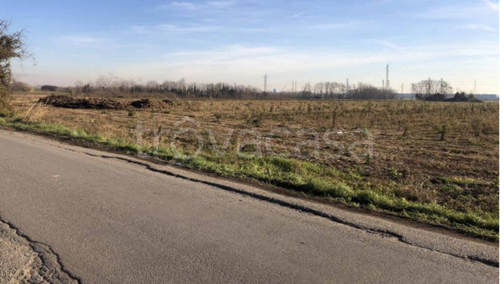 immagine annuncio 5 di 11