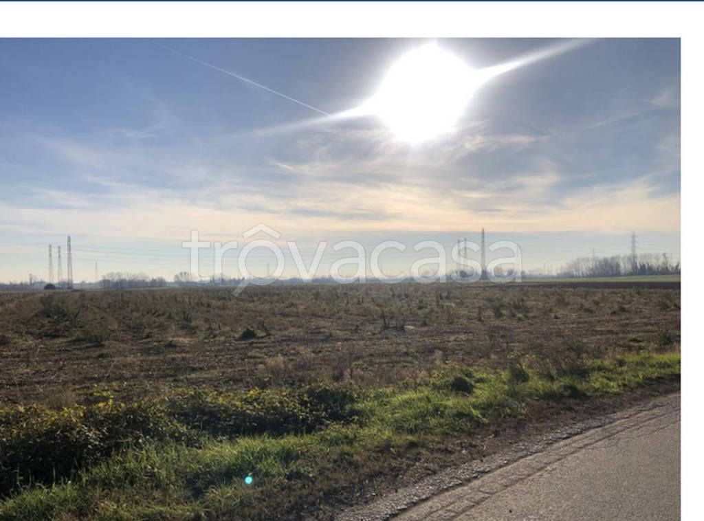 immagine annuncio 6 di 11