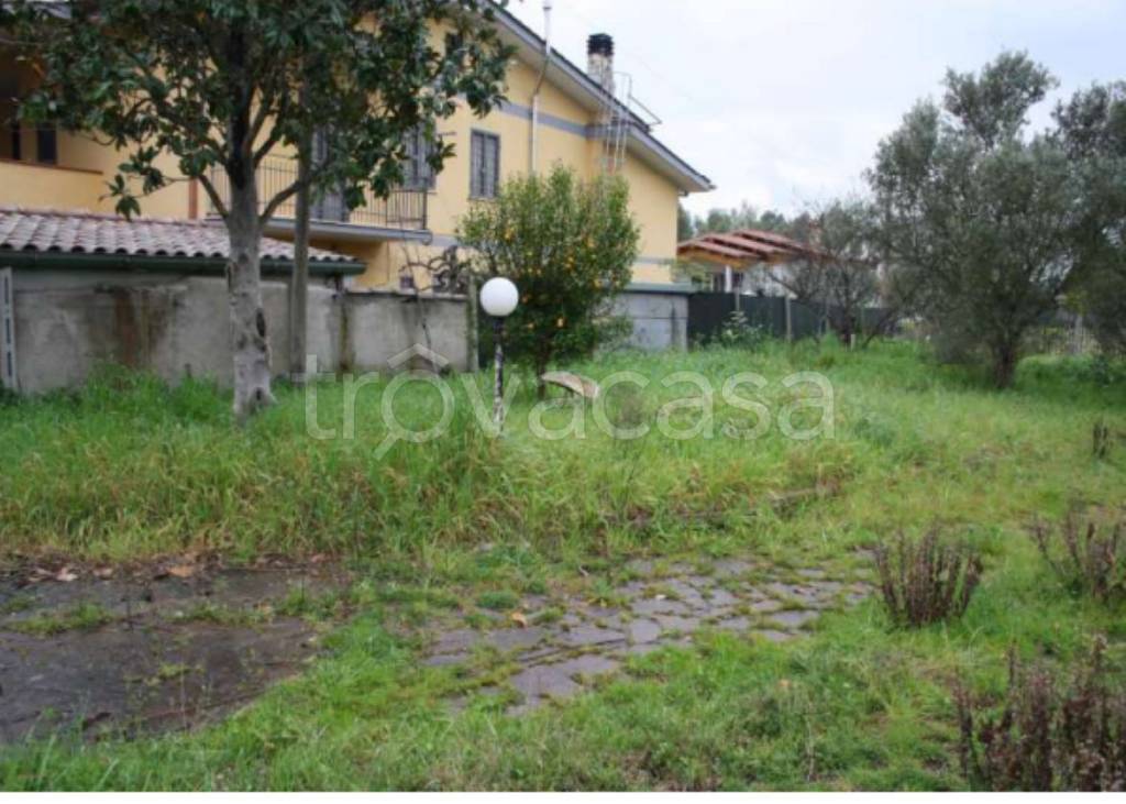 immagine annuncio 4 di 12