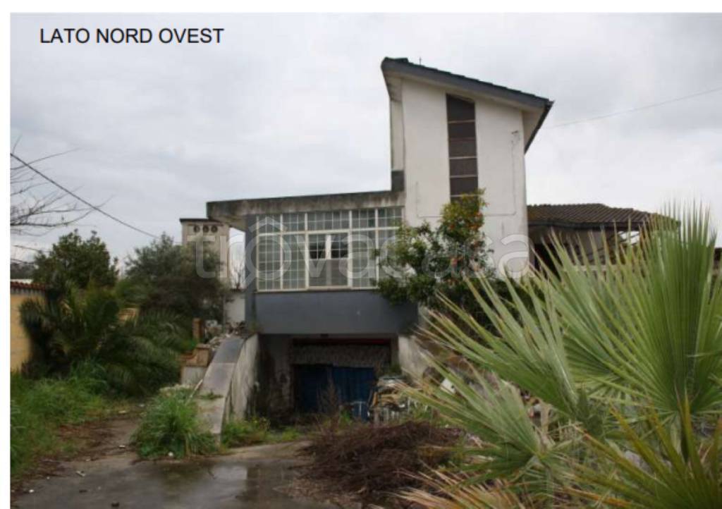 immagine annuncio 7 di 12