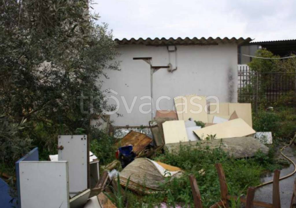 immagine annuncio 8 di 12