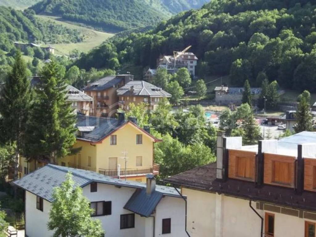 immagine annuncio 11 di 14