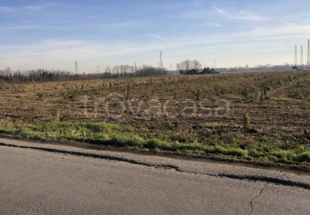 immagine annuncio 8 di 11