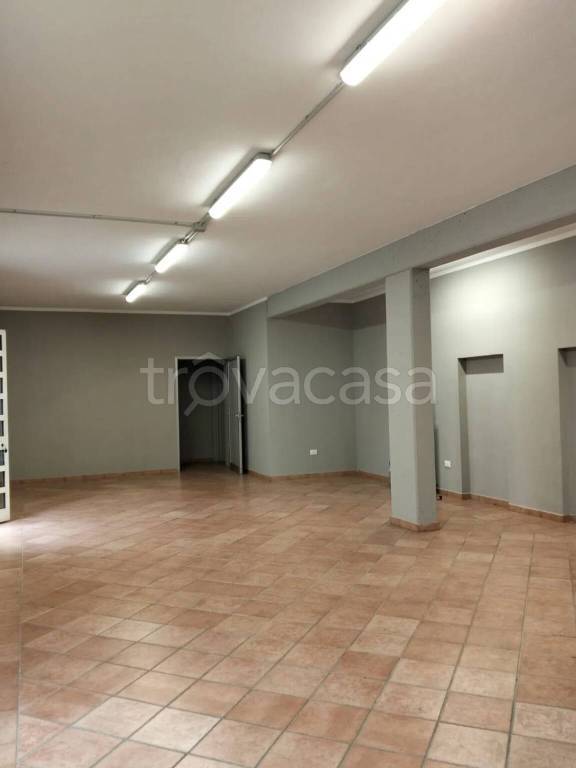 immagine annuncio 3 di 6