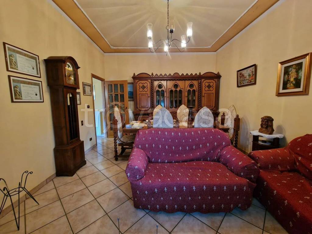 immagine annuncio 2 di 14