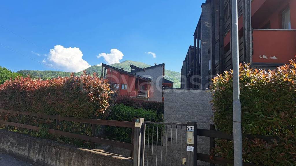 immagine annuncio 6 di 15