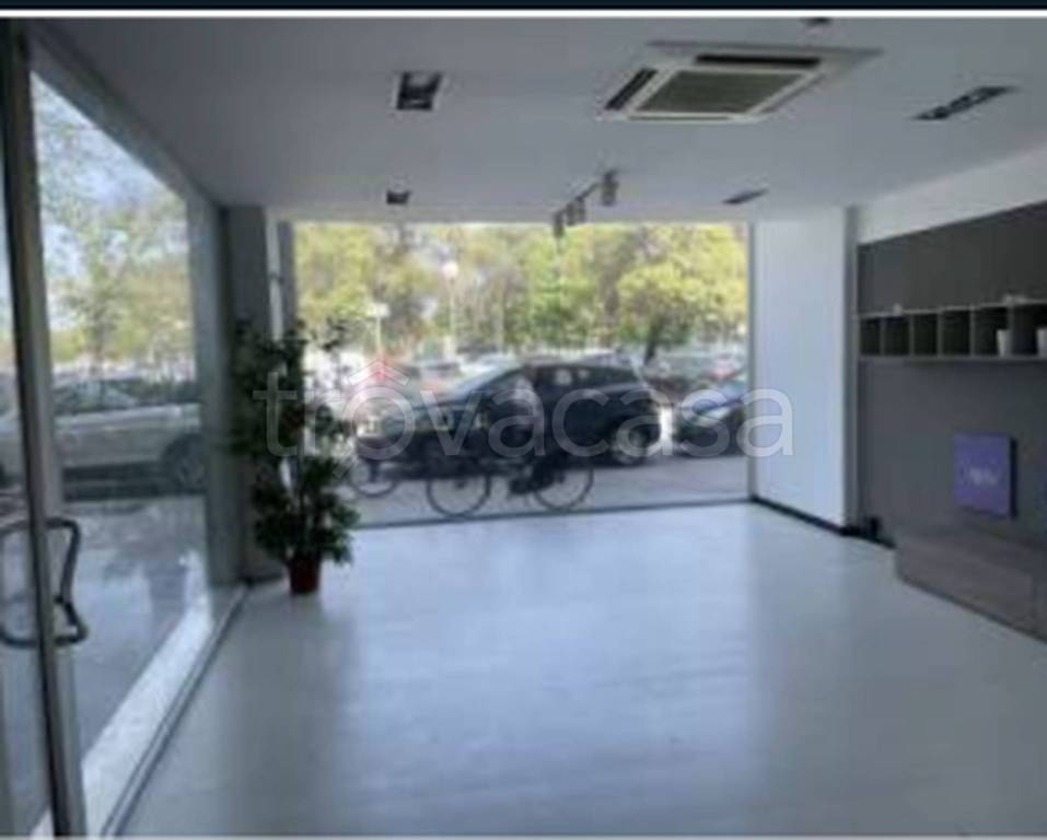 immagine annuncio 9 di 11