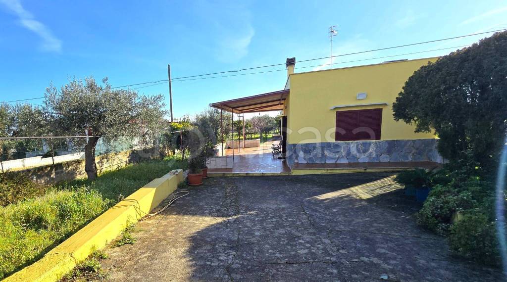 immagine annuncio 1 di 14