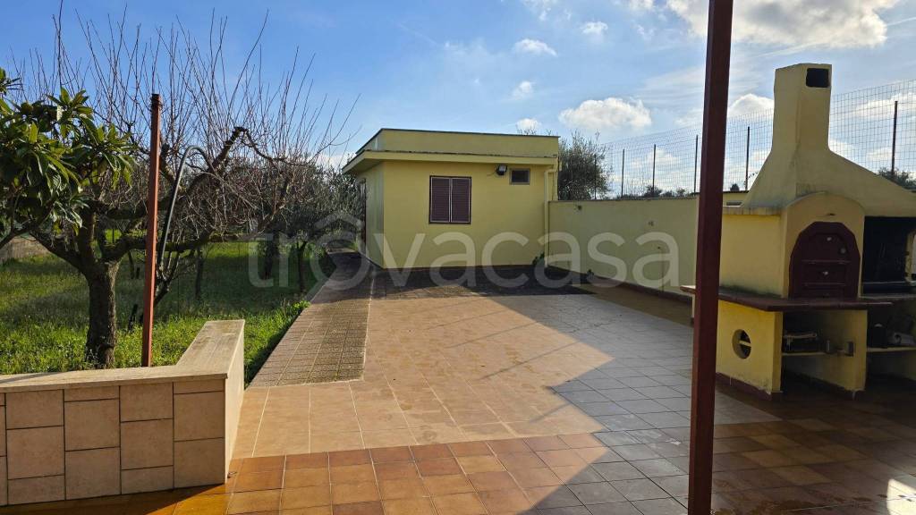 immagine annuncio 3 di 13