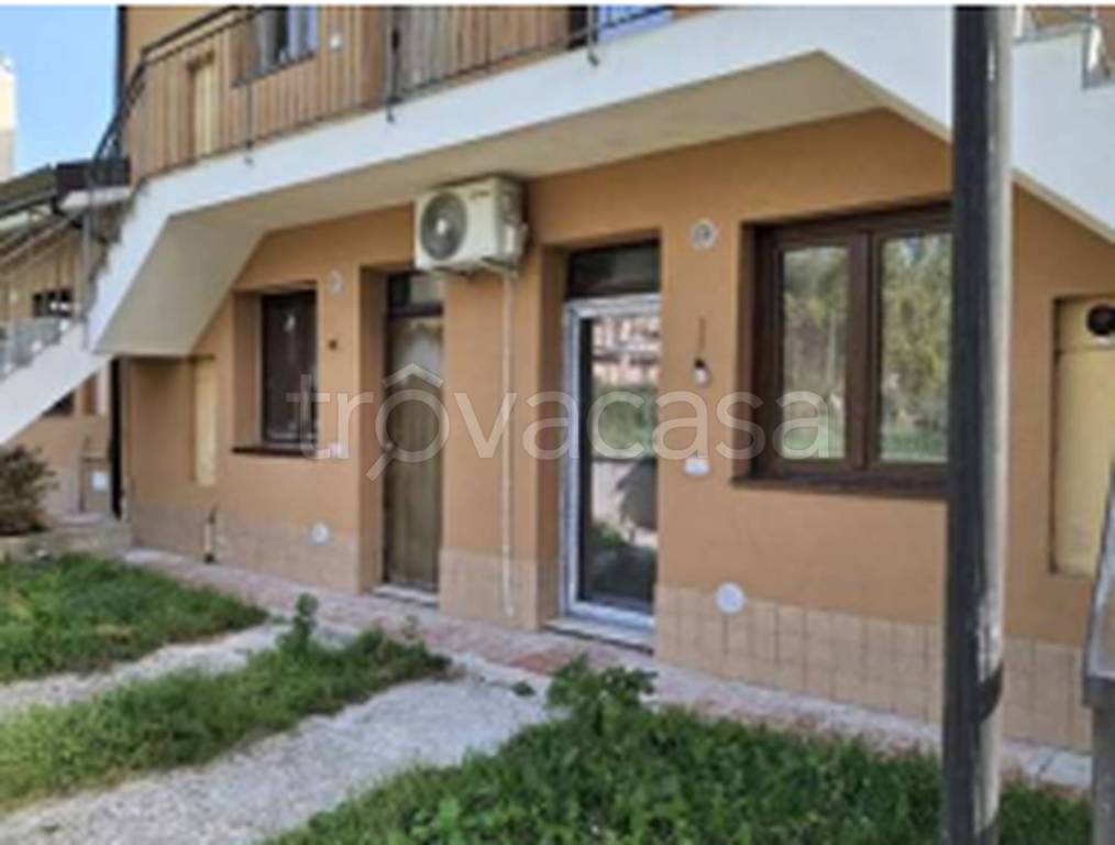 immagine annuncio 5 di 11