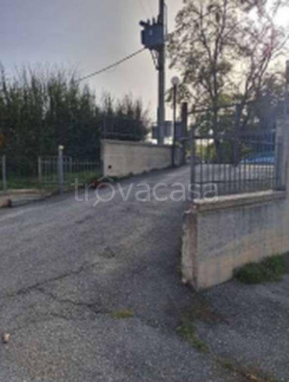 immagine annuncio 8 di 11