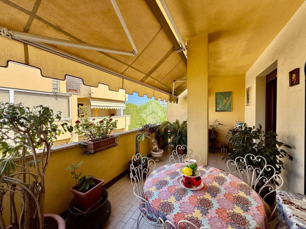 immagine annuncio 12 di 15