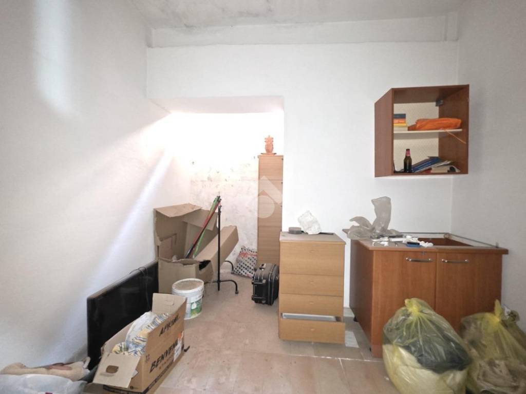 immagine annuncio 9 di 14