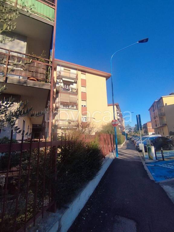 immagine annuncio 10 di 15