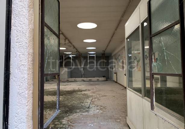 immagine annuncio 6 di 11