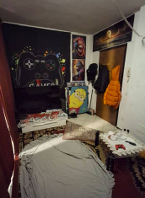 immagine annuncio 4 di 12