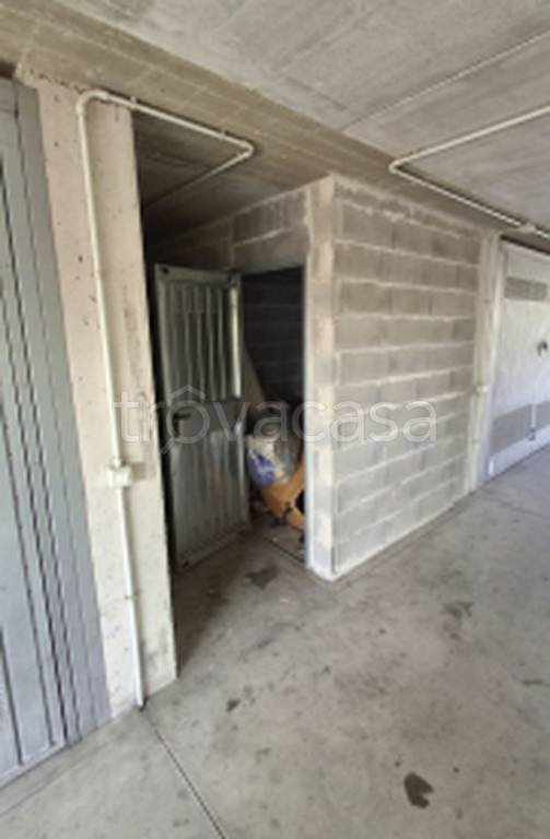 immagine annuncio 5 di 12