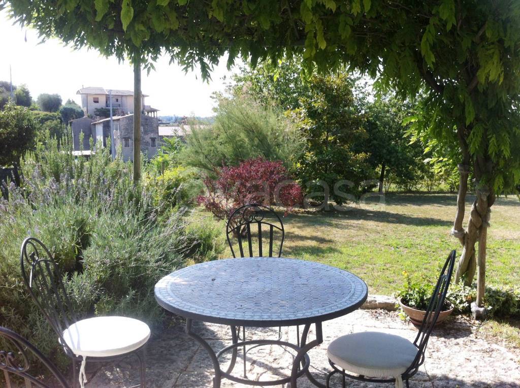 immagine annuncio 2 di 14