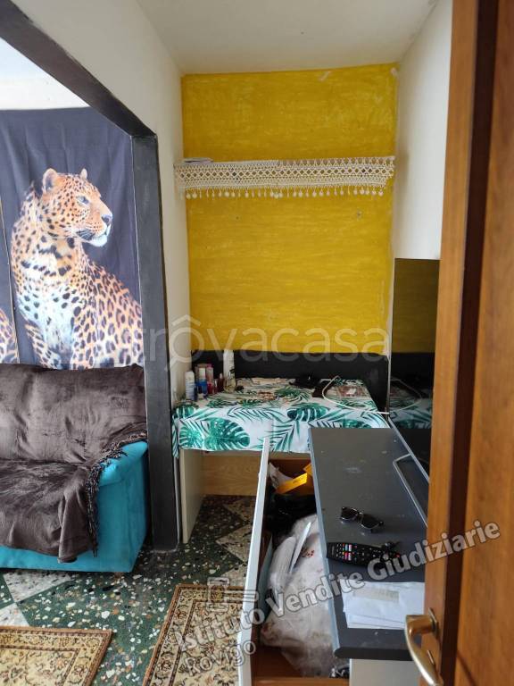 immagine annuncio 5 di 14